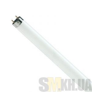 Лампа люминесцентная Philips 18W/54 G13, шт